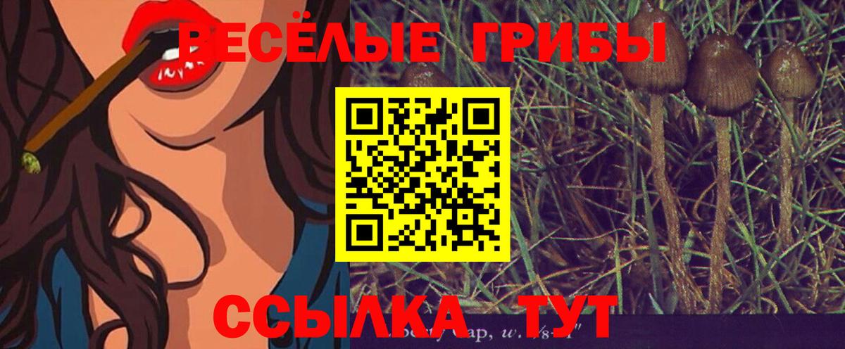 Красноармейск  Галлюциногенные грибы GOLDEN TEACHER  Вход с VPN  где можно купить   Галлюциногенные грибы GOLDEN TEACHER 